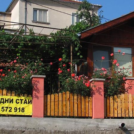 Guesthouse Elena Belogradçik Dış mekan fotoğraf