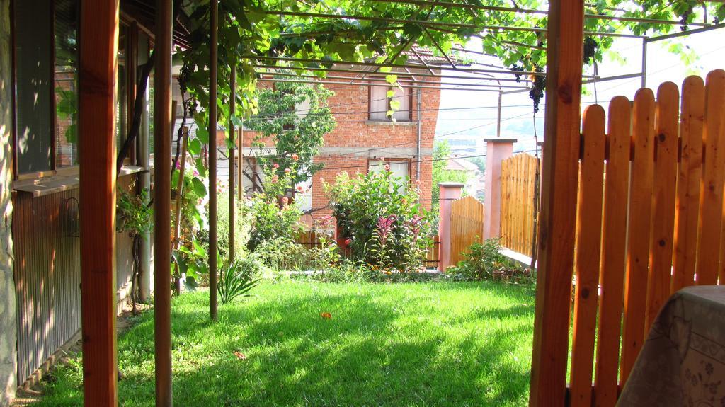 Guesthouse Elena Belogradçik Dış mekan fotoğraf
