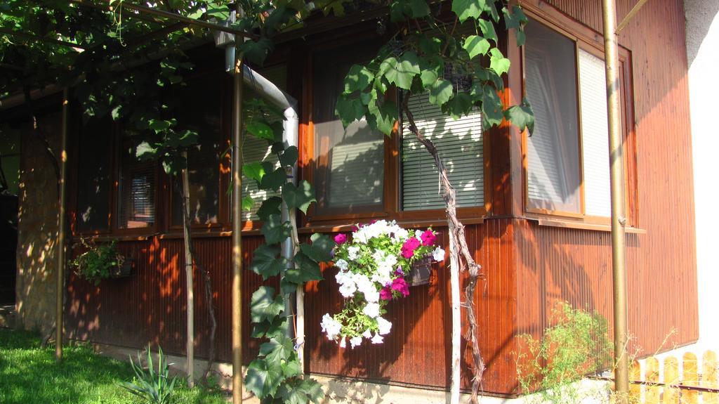 Guesthouse Elena Belogradçik Dış mekan fotoğraf